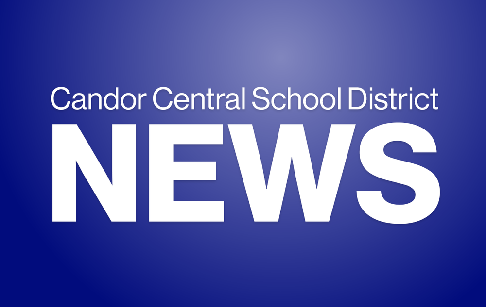 Candor Elementary Newsletter